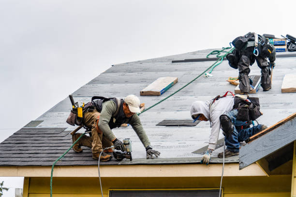 Professional Roofing technician working in Rossville, IN